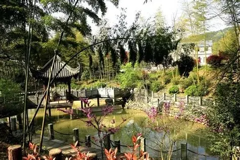 石莲洞国家森林公园