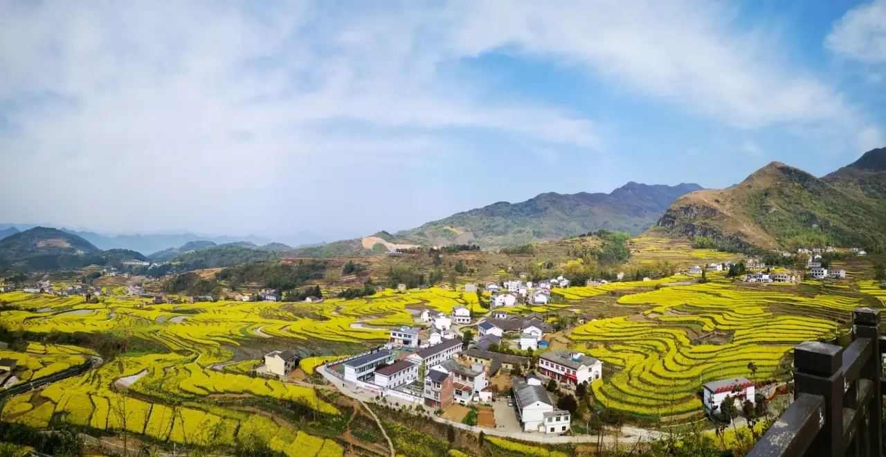 凤堰古梯田