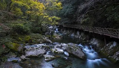 千层河景区