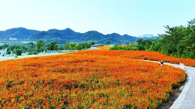 卷桥河湿地公园