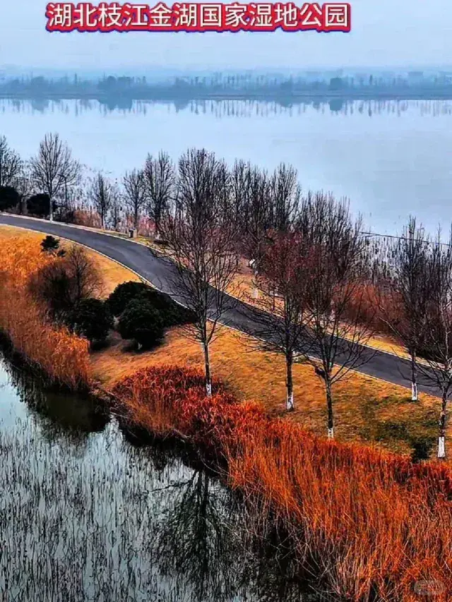 湖北枝江金湖国家湿地公园