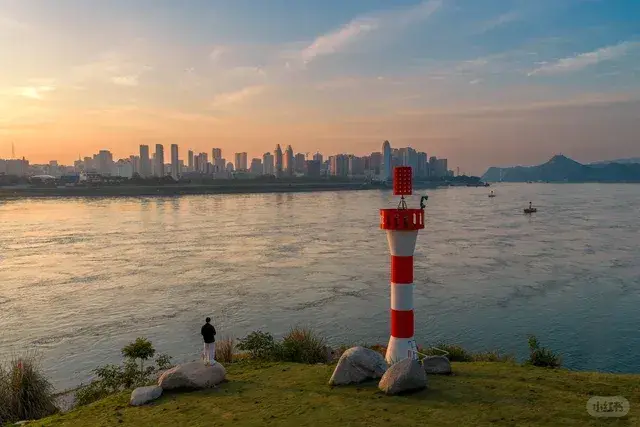 点军大道阳光花海一号地