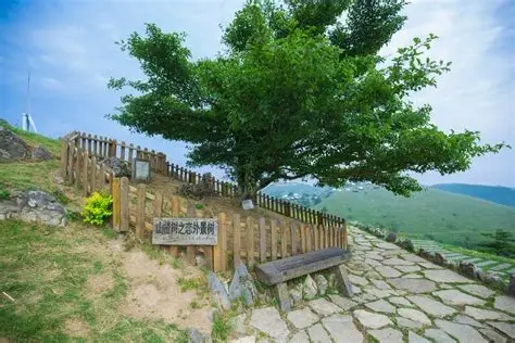 百里荒高山草原
