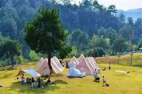 七星岭森林运动度假区