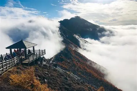 陕西青峰峡国家森林公园