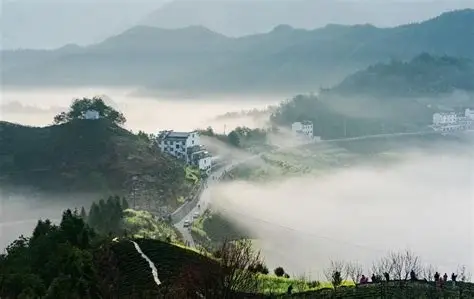 梅干岭观景台