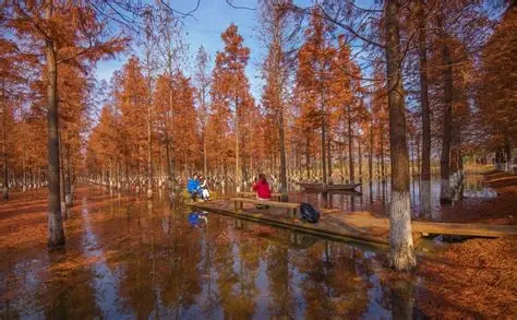 泗洪洪泽湖湿地景区