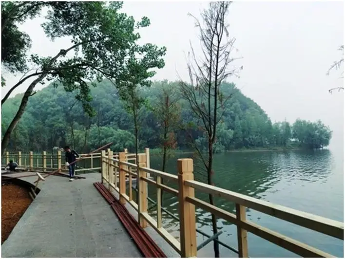 南湖公园