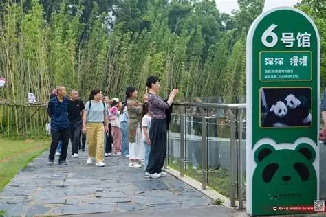 岳阳中华大熊猫苑