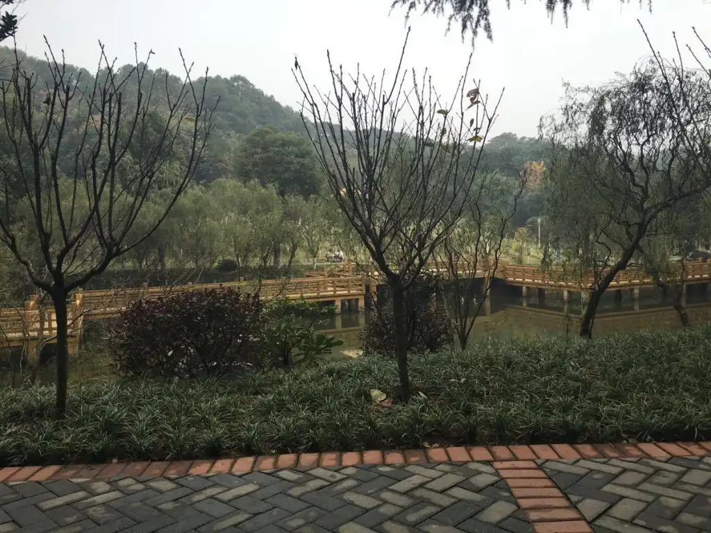 金鹗山公园