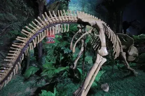 乌拉特后旗恐龙博物馆