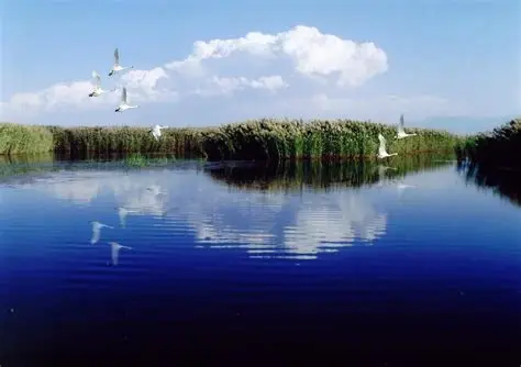 纳林湖