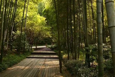 南山竹海