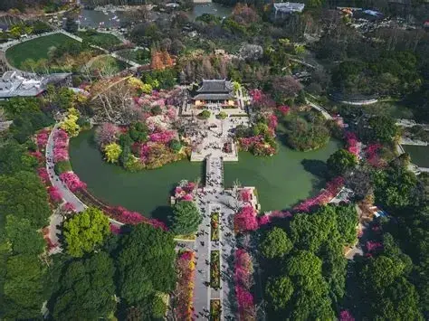 红梅公园