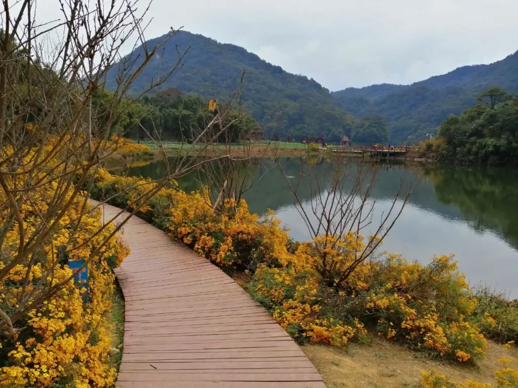 夹山国家森林公园