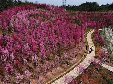 桃花源景区