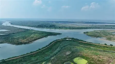 西洞庭湖湿地