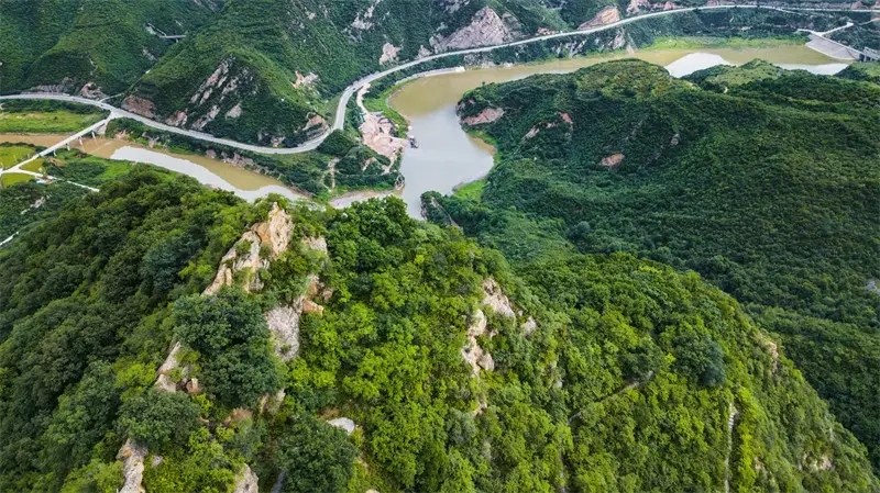 五龙山