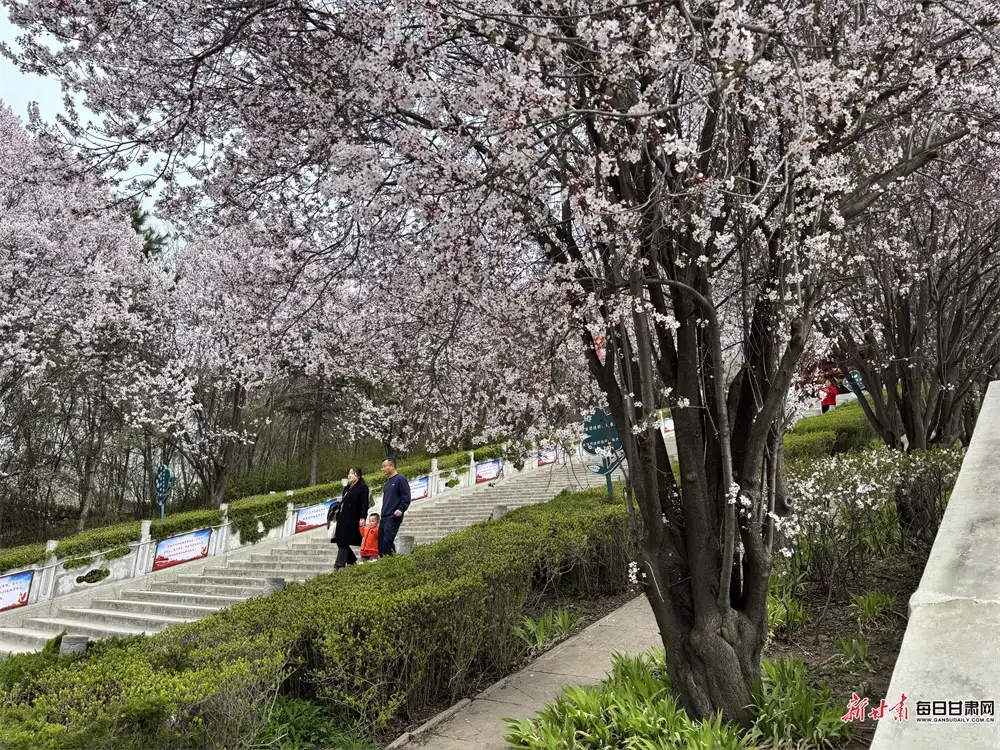 古灵台荆山森林公园
