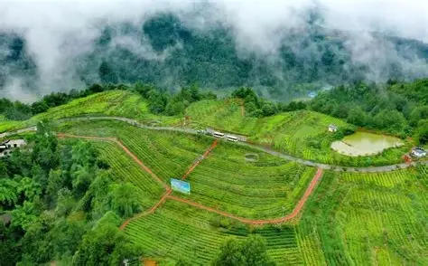 旺苍县盐井河森林公园
