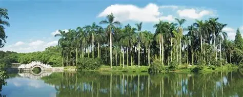 华南国家植物园