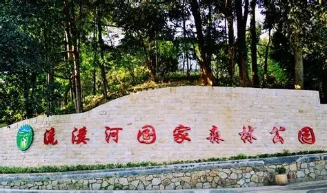 流溪河国家森林公园