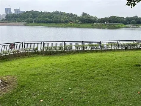 白云湖
