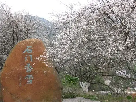 石门国家森林公园