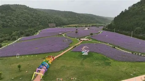 合水子午花溪谷