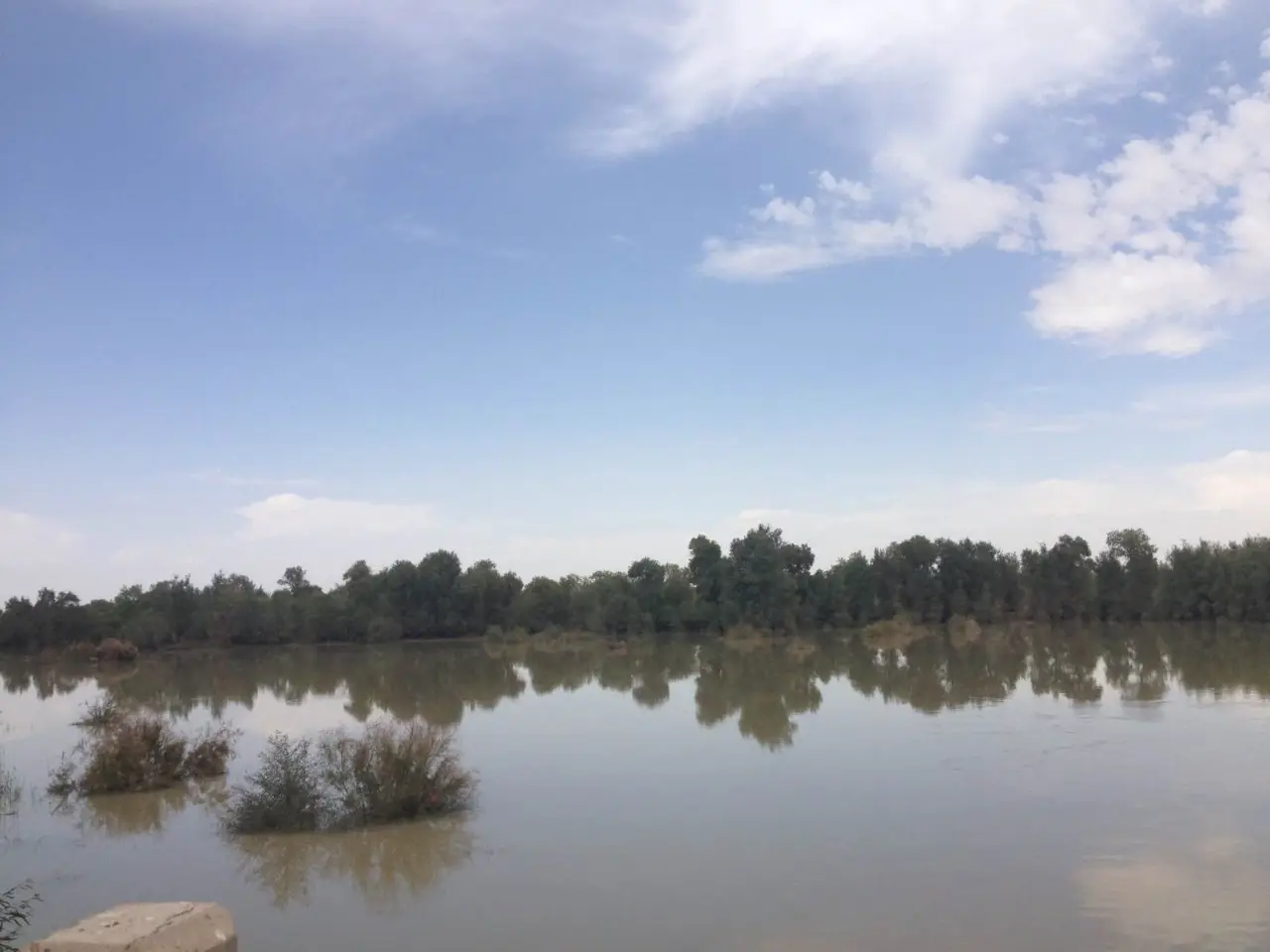 庆阳湖