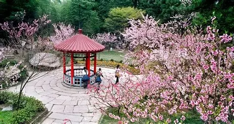 花径