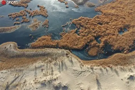 罗布淖尔国家湿地公园