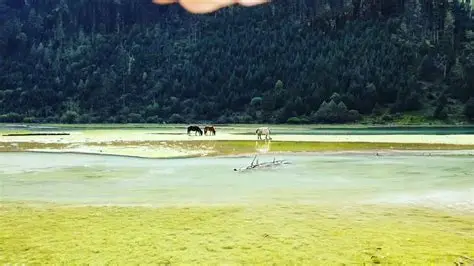 莲花湖