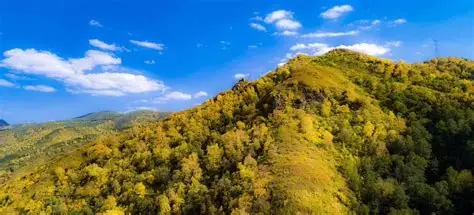 翠云山森林风景区