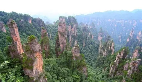 八大公山自然保护区