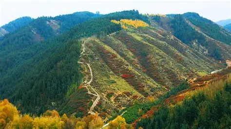 焉支山