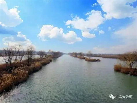 丰县黄河故道大沙河国家湿地公园