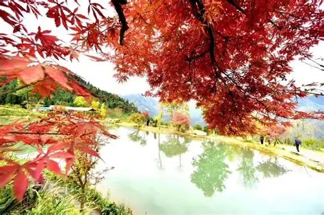 川西红枫岭
