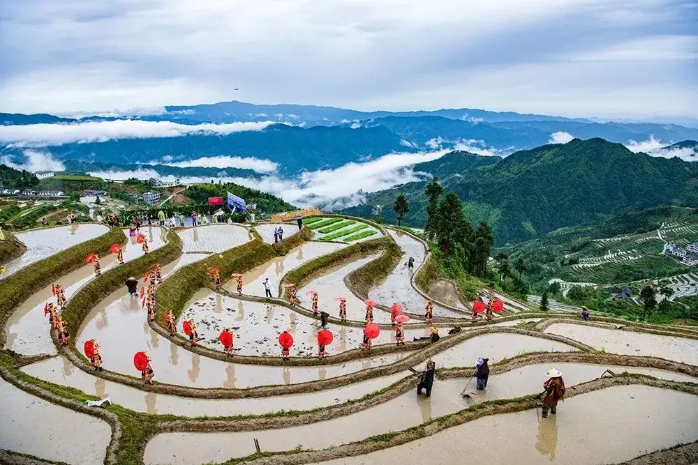 溆浦山背花瑶梯田景区