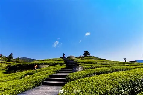 宣恩伍家台乡村休闲度假区