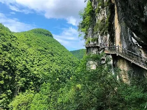 屏山峡谷