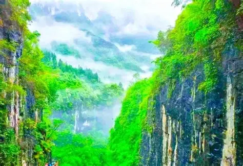 鹿院坪