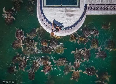 惠州