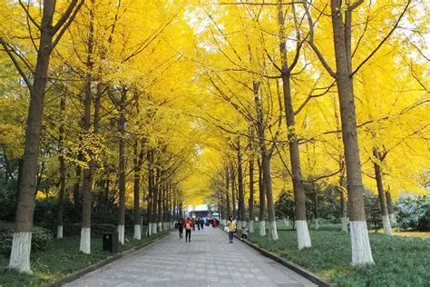 人民公园