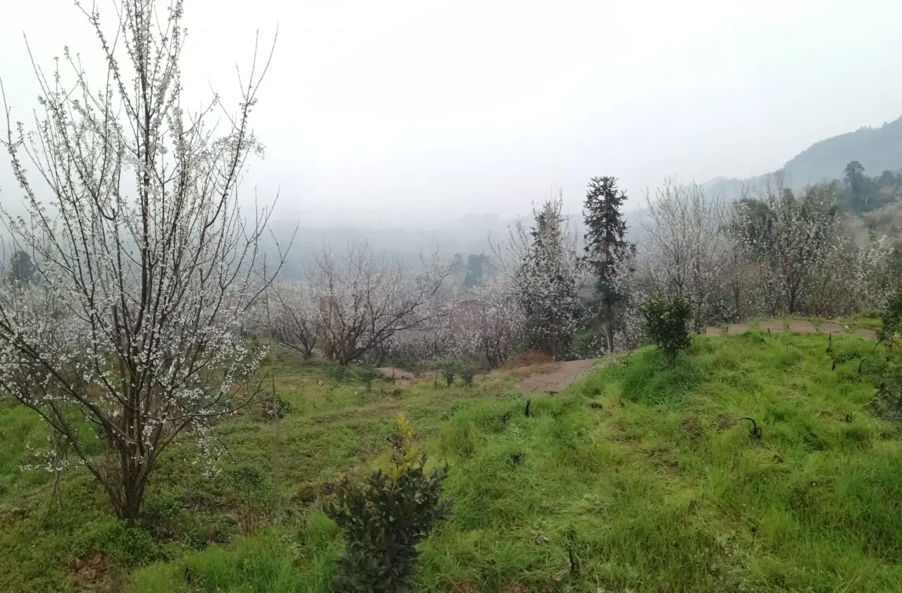 樱桃山旅游景区