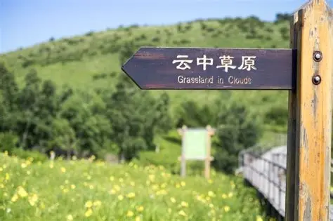 云中草原