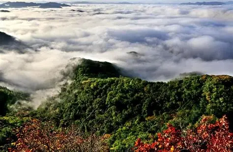 天女山森林公园