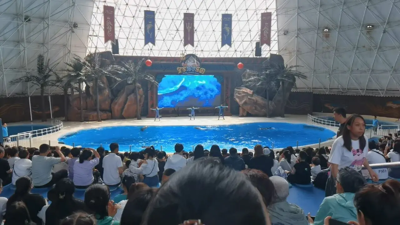 抚顺皇家极地海洋世界