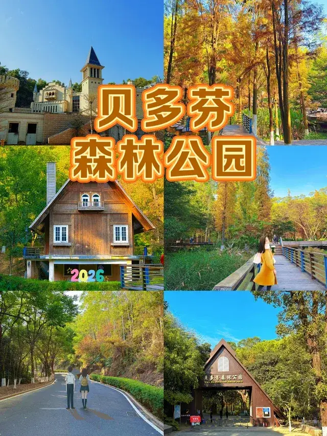 贝多芬森林公园