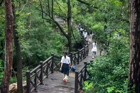 黄岐山森林公园